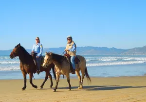 Horseback Ride & Alcatraz Prison Tickets