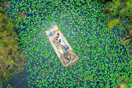 60 min. Everglades Airboat ride & pick-up ,small group +pro guide