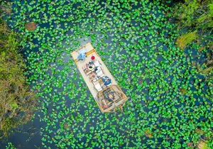 60 min. Everglades Airboat ride & pick-up ,small group +pro guide