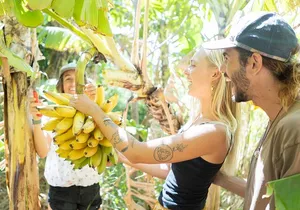 Taste of Hawaii: A Maui Farm Tour