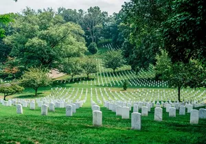 US Capitol Entry plus City Bus Tour & Arlington Cemetery Walk