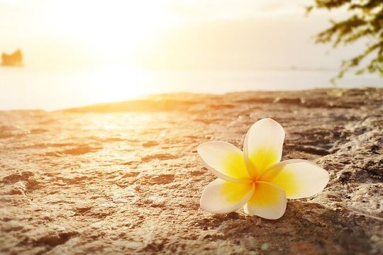 Personalized Retreat day