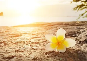 Personalized Retreat day