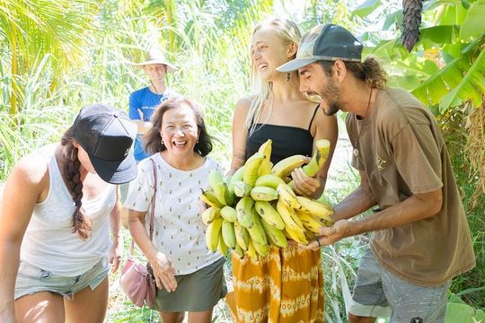 Taste of Hawaii: A Maui Farm Tour