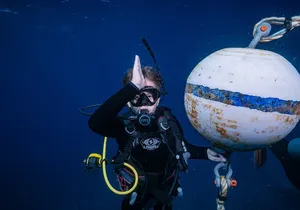 Small-Group Shark and Turtle Dive for Certified Divers