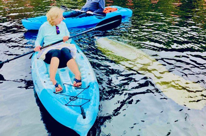 Dolphin, Manatee and SeaTurtle SUP Adventure Tour of St Augustine