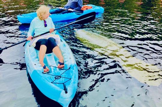 Dolphin, Manatee and SeaTurtle SUP Adventure Tour of St Augustine