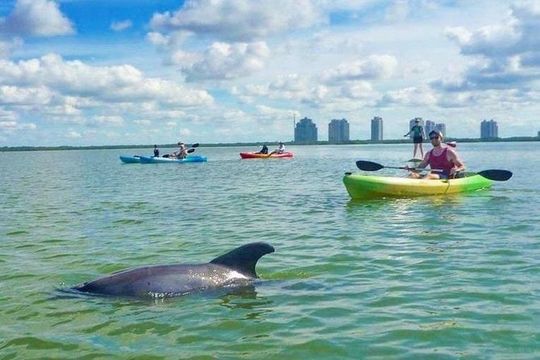 Guided Island EcoTour: CLEAR/Standard Kayak, SUP - Bonita Springs