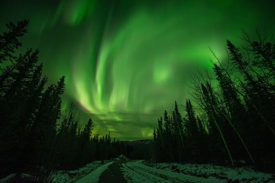 Fall Aurora Mushing Cart Ride Bucket List Adventure