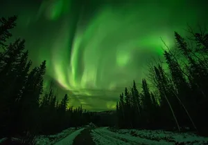 Fall Aurora Mushing Cart Ride Bucket List Adventure