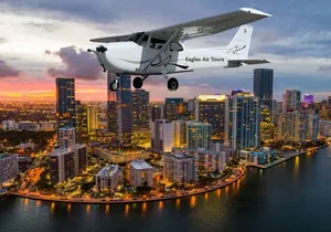 Eagles Air Tour: Private 45 Minute Plane Tour of Miami