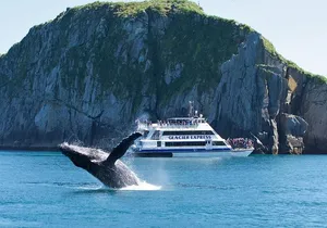 Full-Day Kenai Fjords National Park Cruise