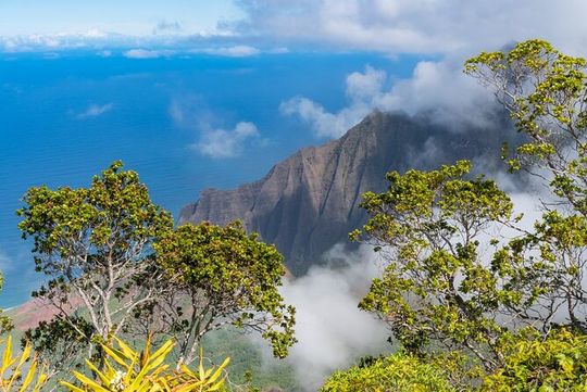 Day Trip from Oahu to Kauai: Highlights & Movie Sites