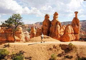 Private Tour: Bryce Canyon & Zion National Park Day Tour from Las Vegas