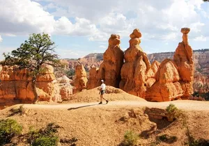 Private Tour: Bryce Canyon & Zion National Park Day Tour from Las Vegas