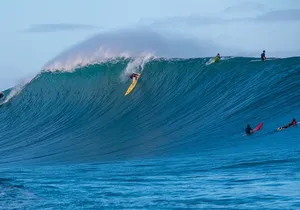Learn to surf with a local big wave rider on the North Shore of Oahu