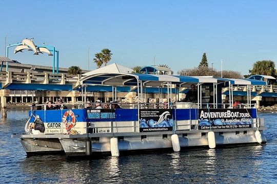 Adventure Boat Tours Dolphin Tails & History Cruise St Augustine