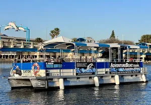 Adventure Boat Tours Dolphin Tails & History Cruise St Augustine