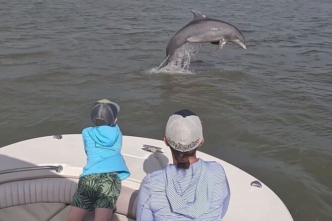 90-Minute Private Dolphin Tour in Hilton Head Island