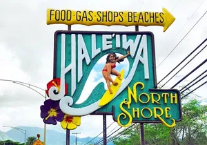 Private Full-Day Circle Island Guided Small-Group up to 6 (Se habla Español)