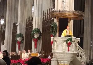 St Patrick's Cathedral Official Holiday Tour