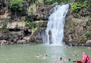 Best of Oahu's North Shore in small group (Se Habla Español)