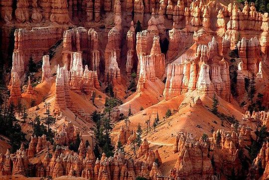 Zion & Bryce Canyon National Parks 1-Day Bus Tour