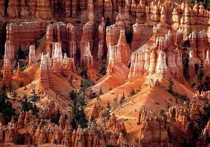 Zion & Bryce Canyon National Parks 1-Day Bus Tour