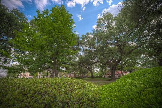 Battles & Brews Pub Crawl in Savannah