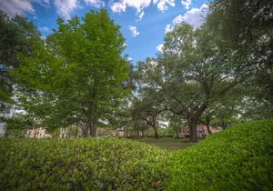 Battles & Brews Pub Crawl in Savannah