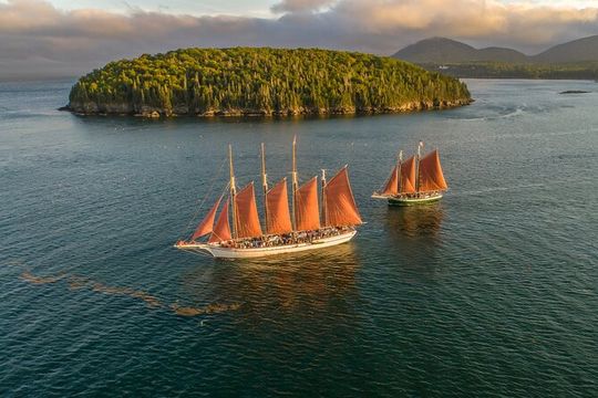 1.5 to 2-Hr Windjammer Sailing Trip in Maine w/ Licensed Captain