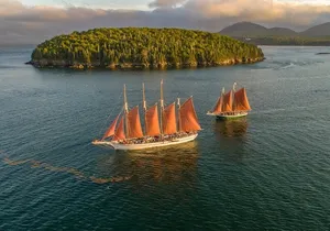1.5 to 2-Hr Windjammer Sailing Trip in Maine w/ Licensed Captain