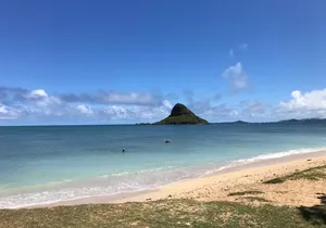 Private Circle Island Full Day up to 14 people (Se habla Español)