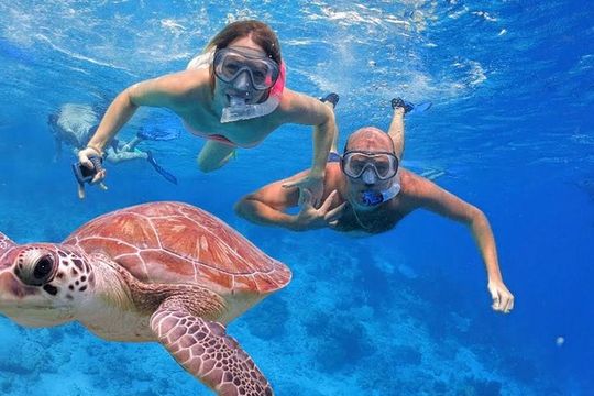 Oahu Ultimate Circle Island Tour Full Day Experience
