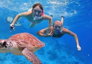 Oahu Ultimate Circle Island Tour Full Day Experience