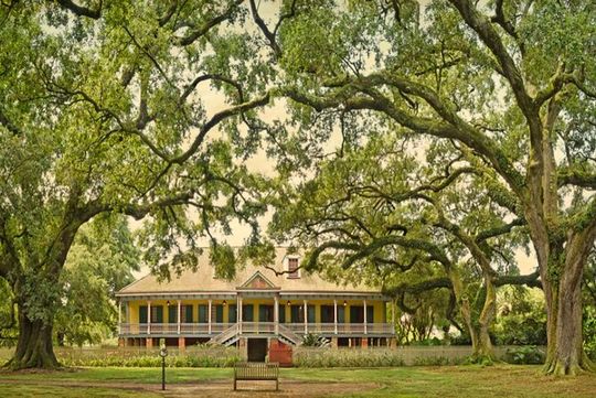 Guided Laura Plantation Tour from New Orleans