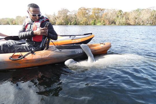 Small Group Manatee Discovery Kayak Tour near Orlando