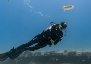 Hawaii DISCOVER Beginner + Certified 2 Tank Shallow Scuba Diving