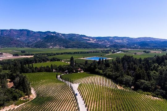 Napa Valley's Best Wine Tour w/ Local Expert