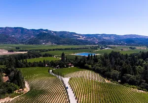Napa Valley's Best Wine Tour w/ Local Expert
