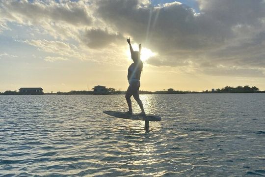 Group of 2 + mid length eFoil experience Honolulu HAWAII