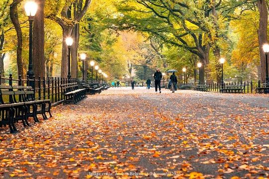 Iconic Central Park Filming Locations: Private New York City Tour