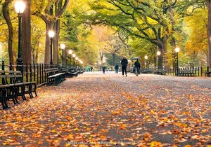 Iconic Central Park Filming Locations: Private New York City Tour