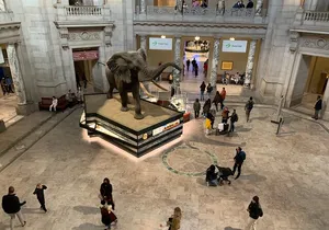 Smithsonian Museum of Natural History Guided Tour