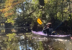 Kayak Tour Of The Honey Island Swamp and Backwaters