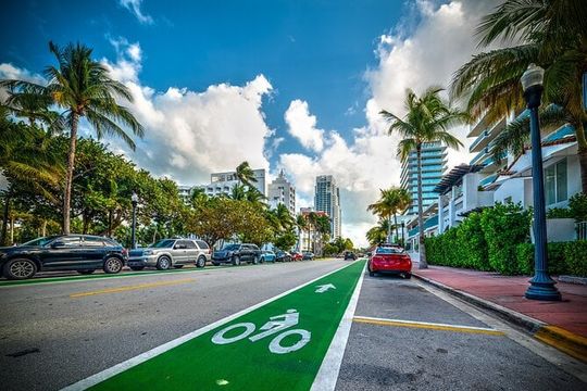 Guided Miami Downtown Highlights Private Walking Tour