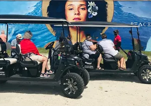 Small-Group Brewery Golf Cart Tour of Wynwood with a Local Guide