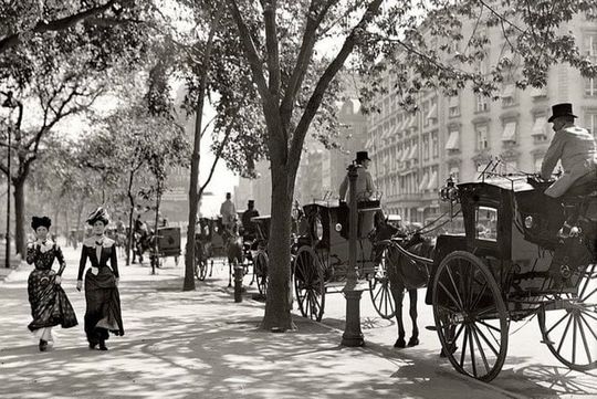 Central Park and NYC Private Horse Carriage Ride