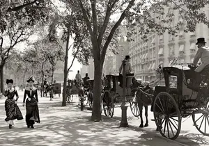 Official Private NYC Central Park Horse Carriage Ride Since 1970™