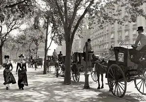 Central Park and NYC Private Horse Carriage Ride